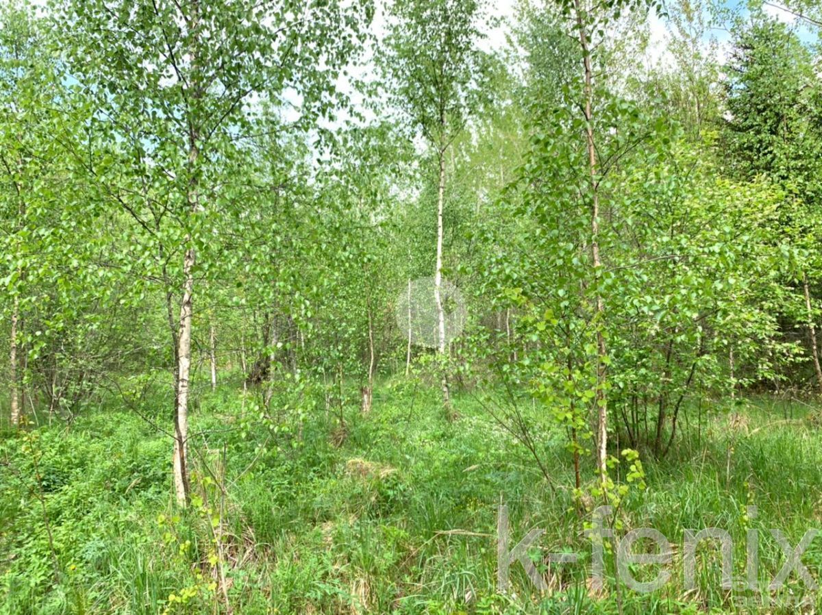 участок 12 сот